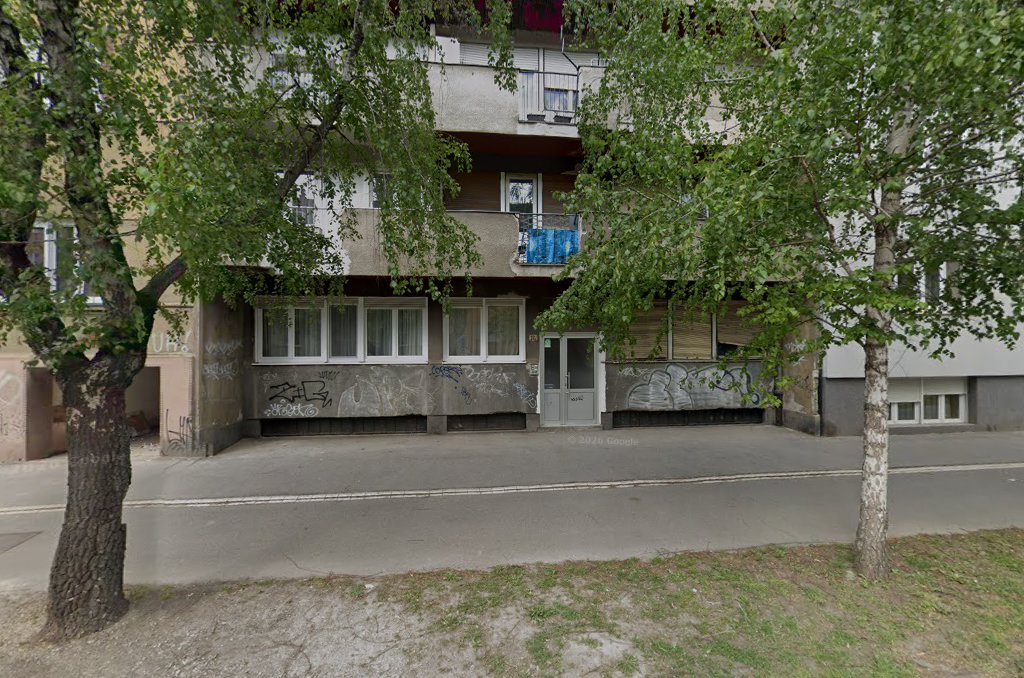 Kognitivna Muza