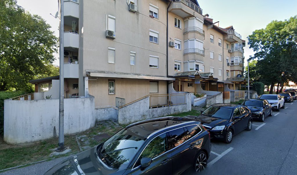 Fizikalna terapija i rehabilitacija Tomislav Pleša