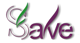 Salve logo