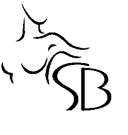 Boutique poliklinika Budi logo
