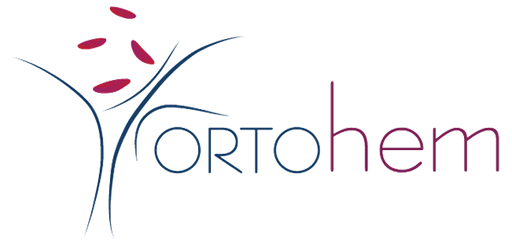 Ortohem logo