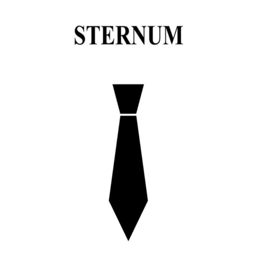 Sternum fizikalna terapija logo
